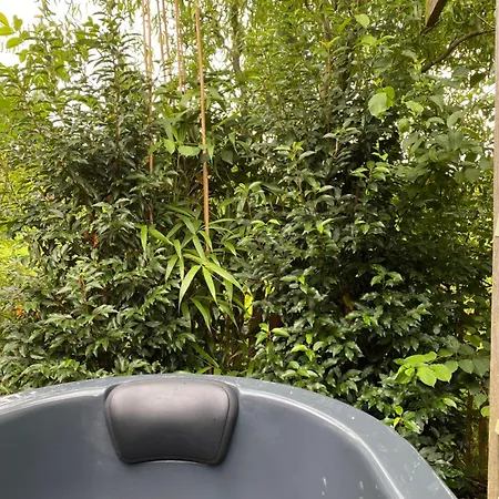 Дом отдыха Luxe Met Hottub Op Het Platteland Dinxperlo
