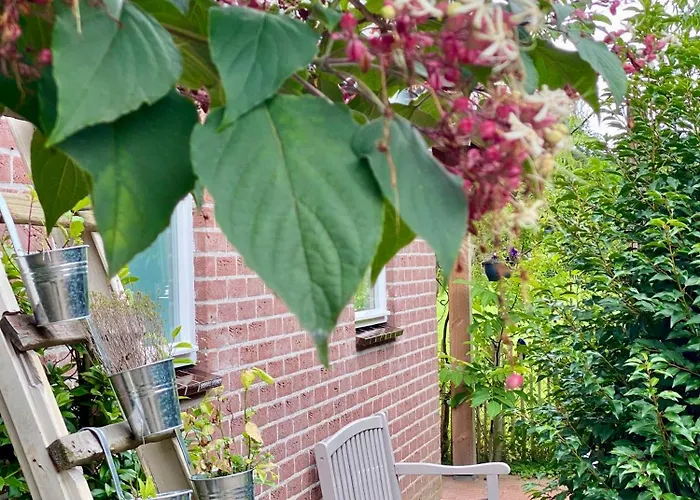 Luxe Lodge Met Hottub Op Het Platteland